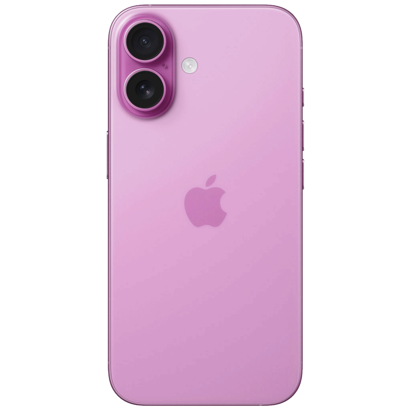 69212fec64bb6fb924191801