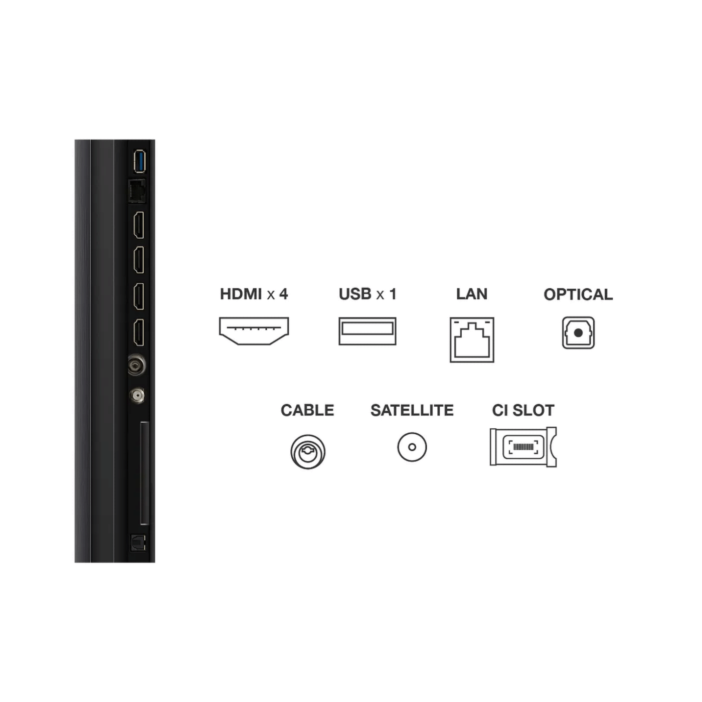 694222bebb88b068ac249e54